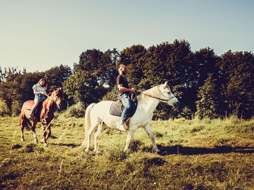 Horse riding club "Tempo"-利沃夫必去景点