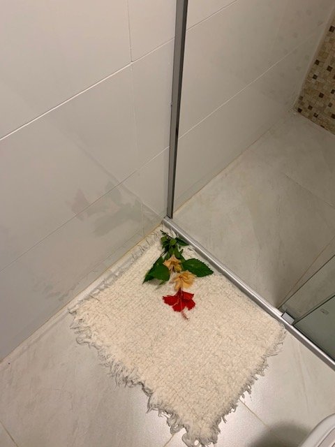 Pousada Naiepe-浴室