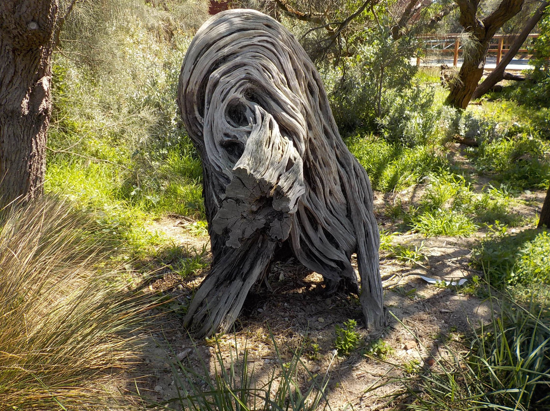 Seaford Foreshore Reserve-锡福德必去景点
