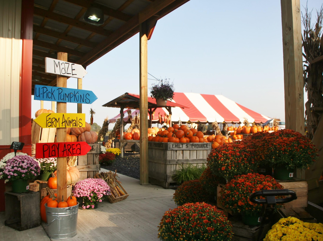 Emily’s Produce-坎布里奇必去景点