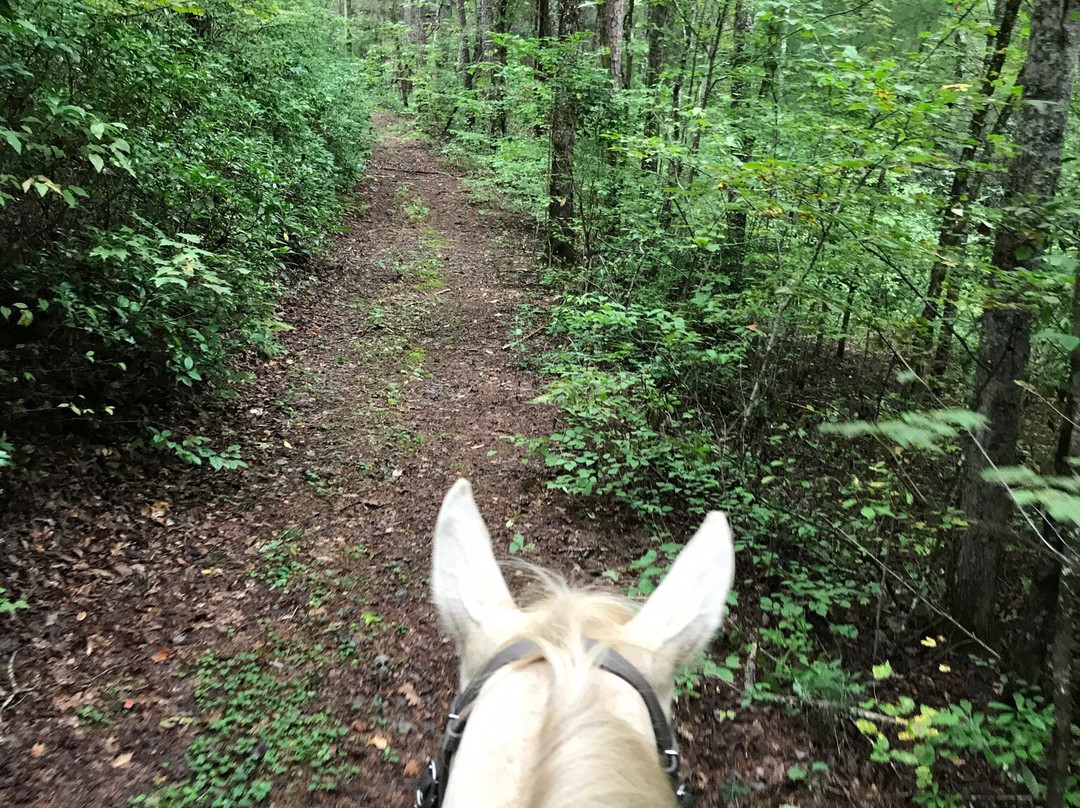 Appalachian Trail Rides景点图片