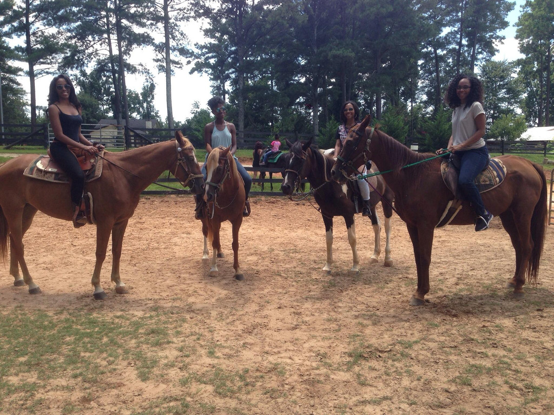 Pure Horse Play-Griffin必去景点