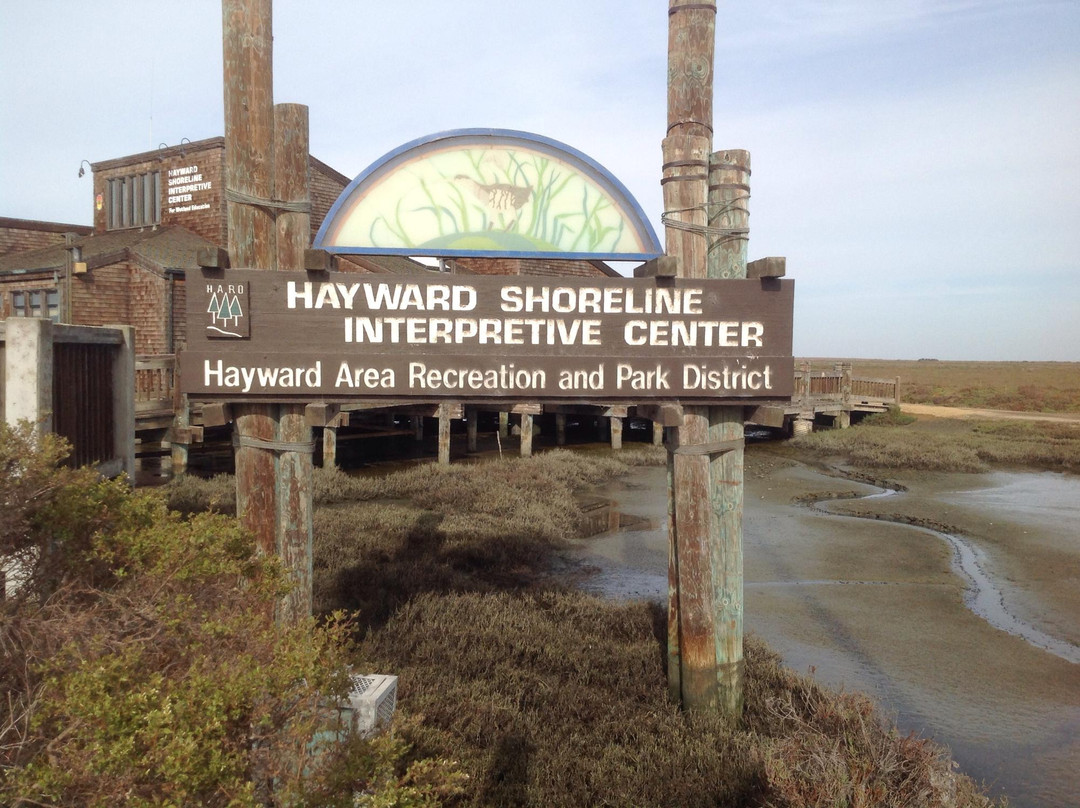 海沃德旅游景点-Hayward Shoreline Interpretive Center