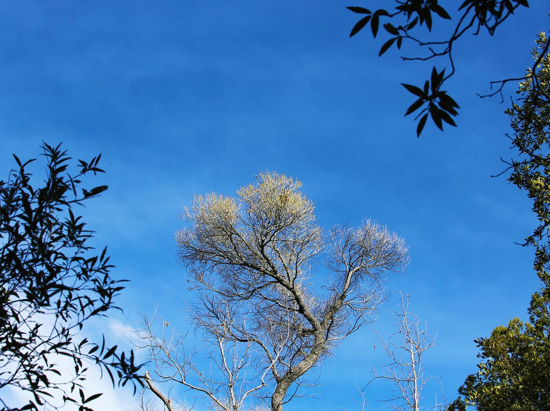 Madera Canyon-Madera Canyon必去景点