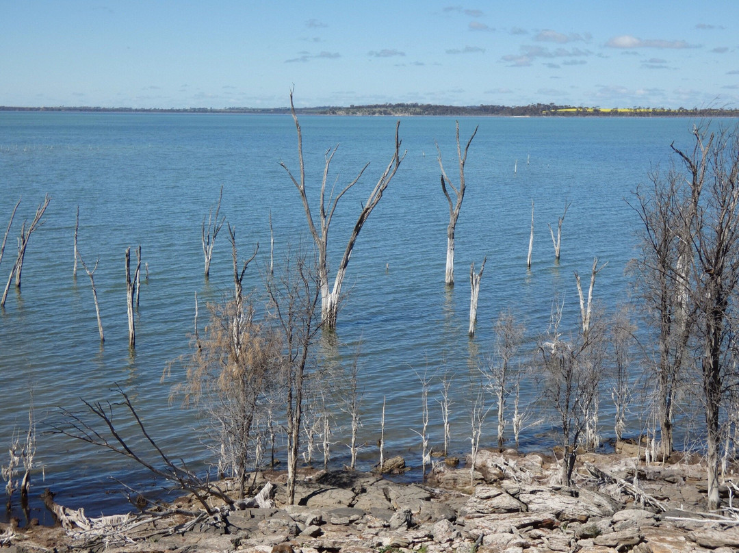 Dumbleyung Lake Nature Reserve-Dumbleyung必去景点