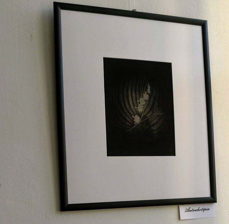Galeria Limes