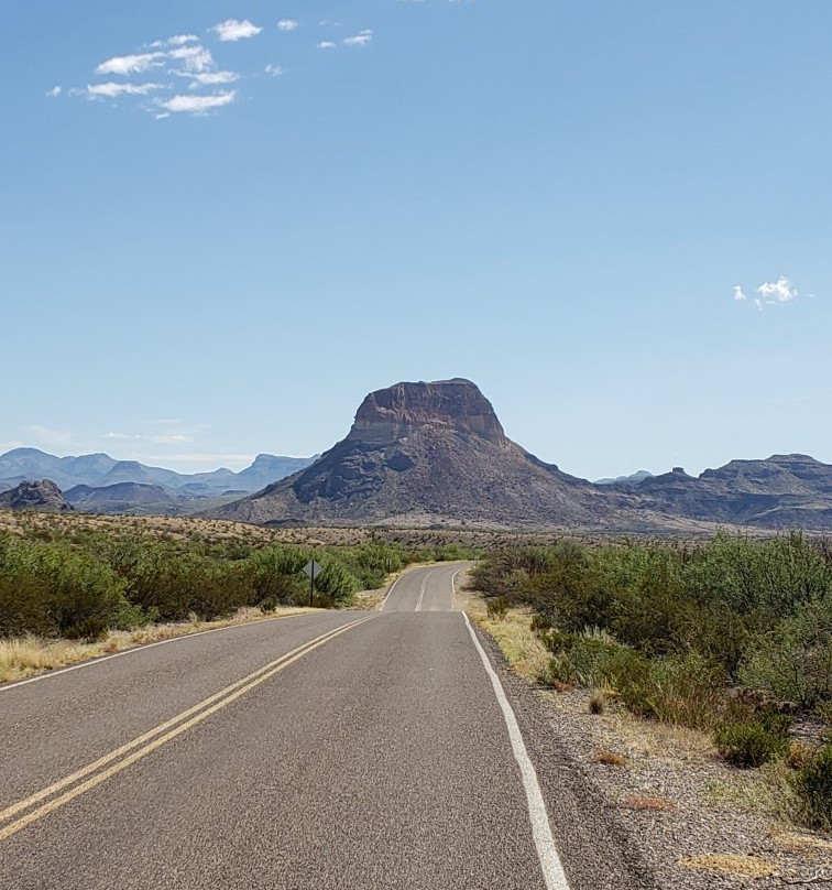 Big Bend National Park - Fossil Bone Exhibit景点图片