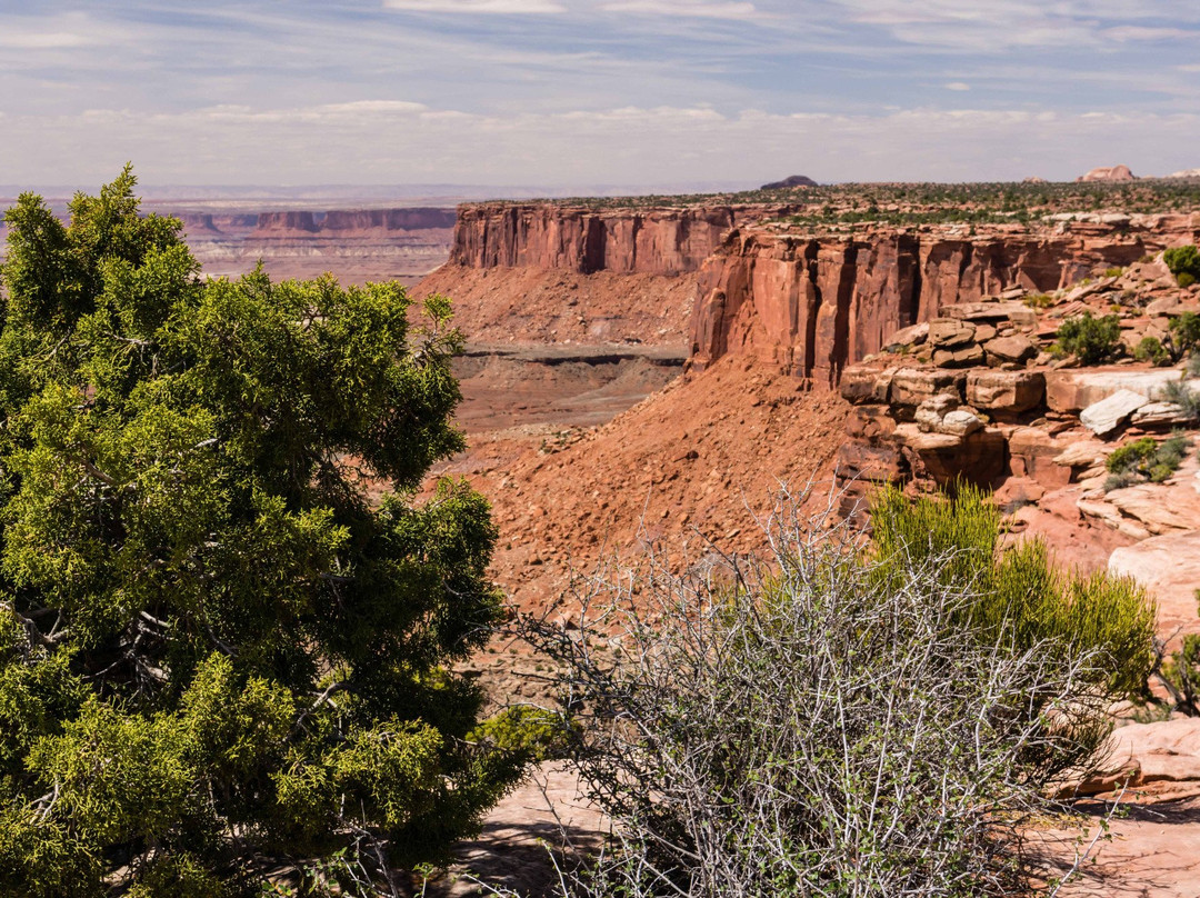 Orange Cliffs Overlook