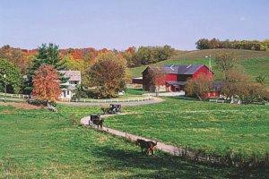 Amish Market景点图片
