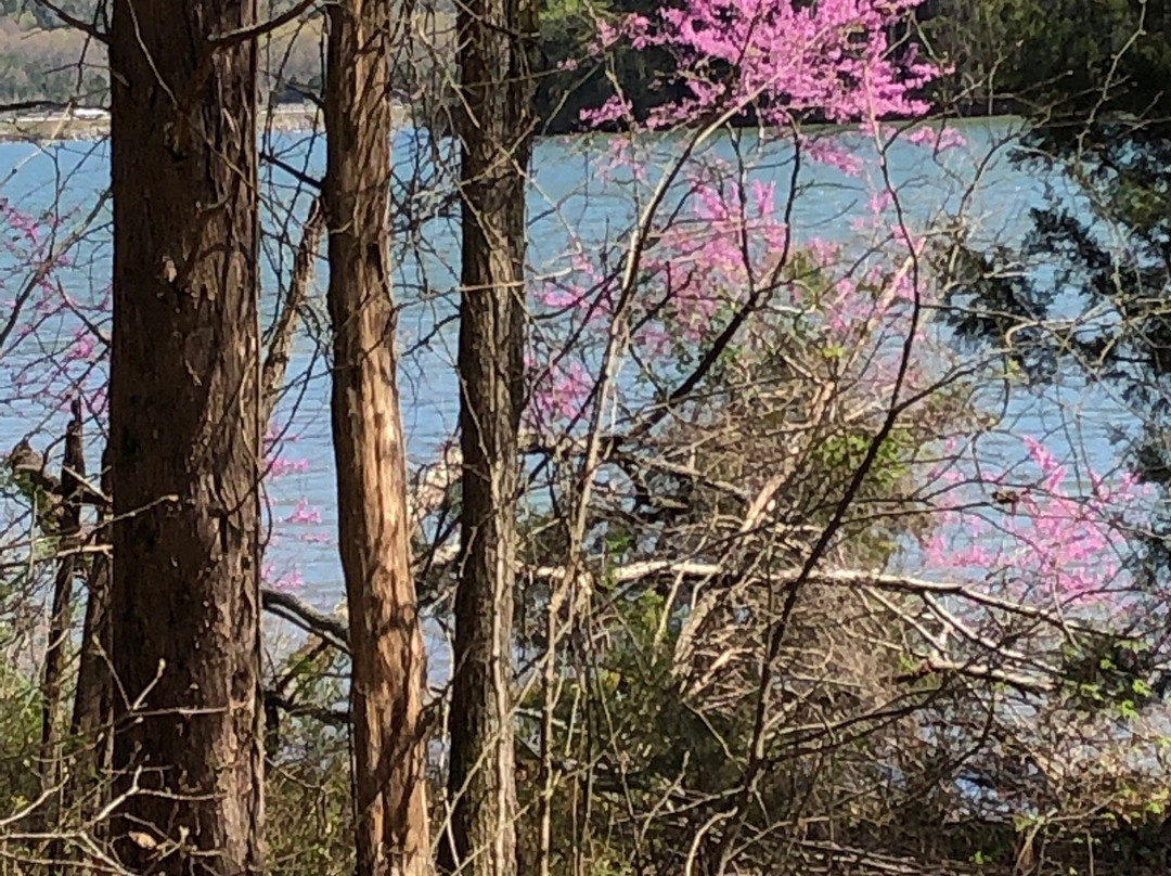 Little Cedar Mountain Trail-Jasper必去景点