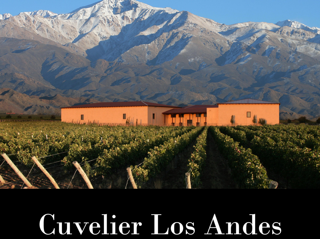 Cuvelier Los Andes景点图片