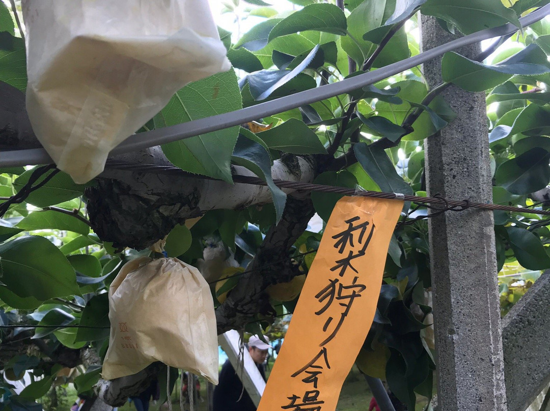 Hara Yuranen-盐尻市必去景点