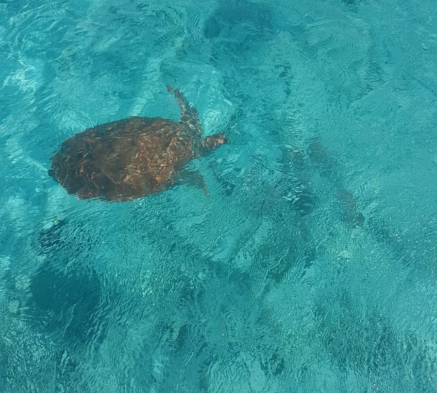 Klein (Little) Curacao-库拉索必去景点