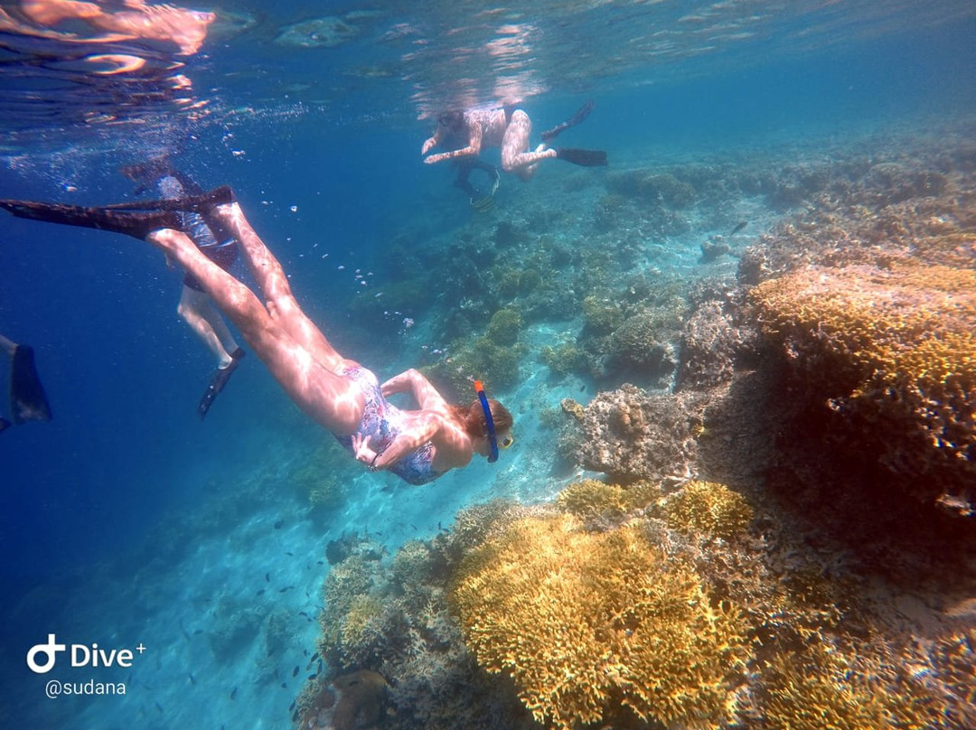 Menjangan Snorkeling & Ijen - Activities景点图片