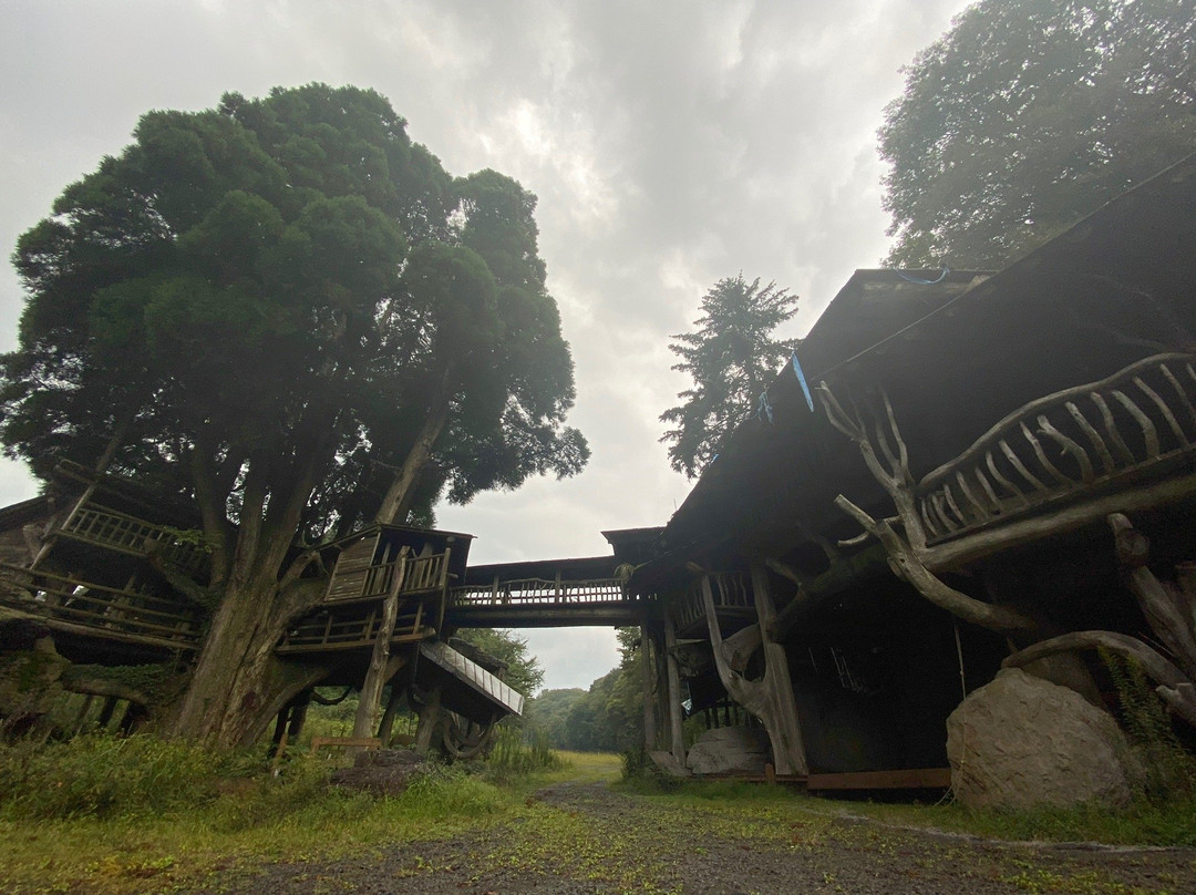 Takamori Tree House景点图片