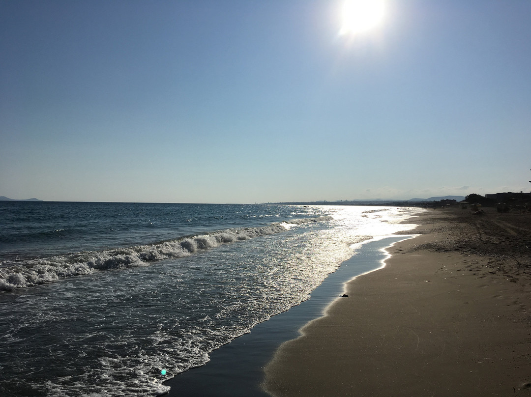 Tropical Hotel主图