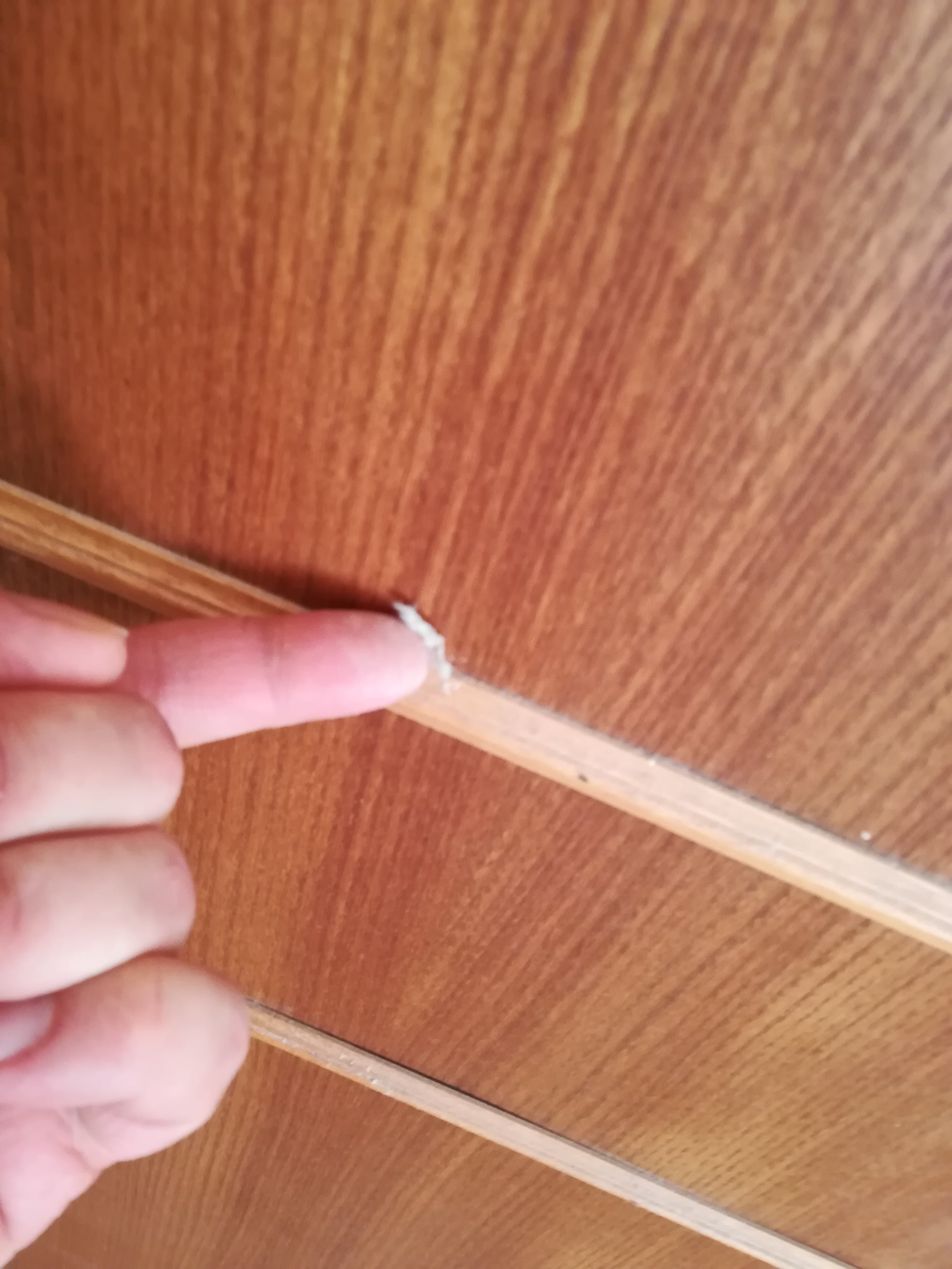 黎莱斯拉法托丽雅酒店-portrait