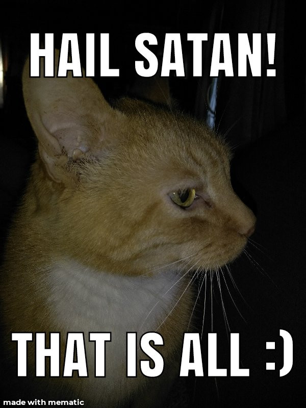 Mainha Restaurant主图