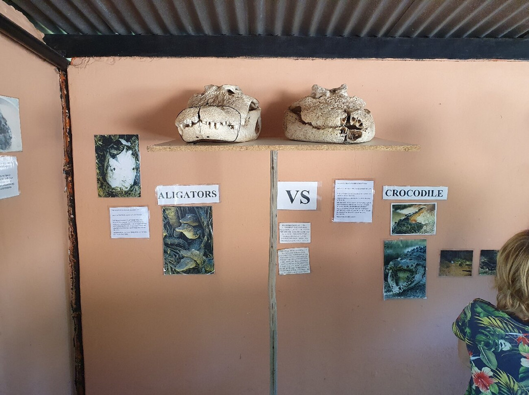 Chobe Crocodile Farm景点图片