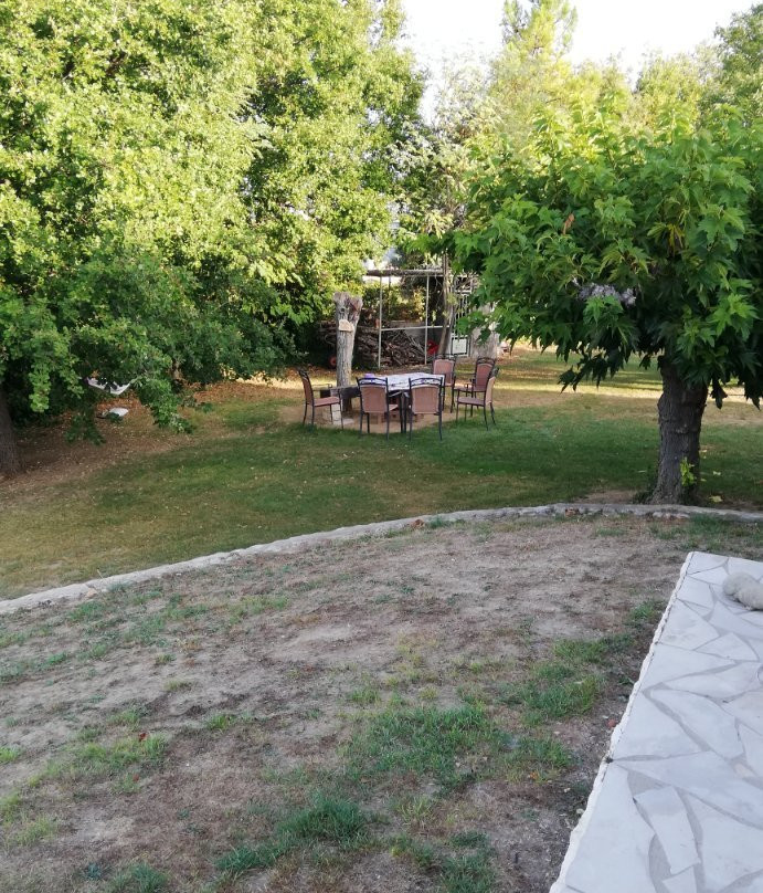 La Grande Dame主图