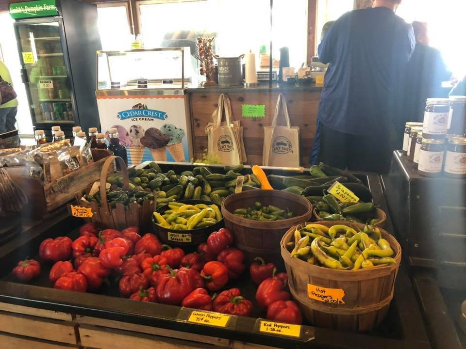 Jerry Smith Produce & Pumpkin Farm-基诺沙必去景点