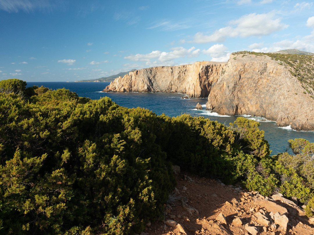 Torre di Cala Domestica