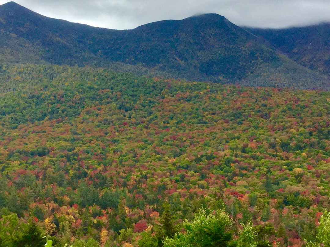 Rivergreen Resort Hotel主图