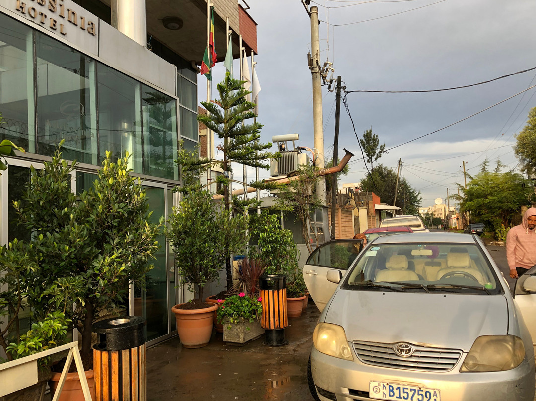 阿蒂斯尼亚酒店主图