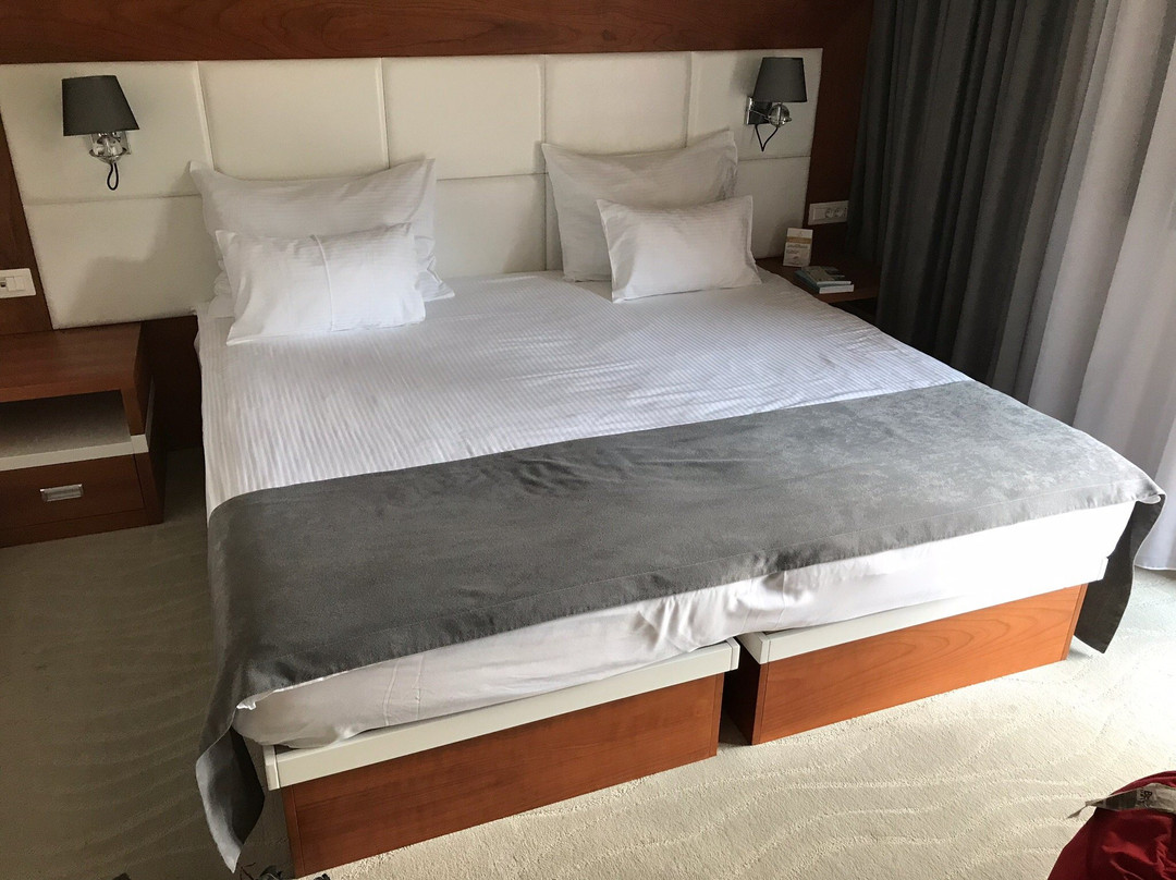 Hotel Porto In主图