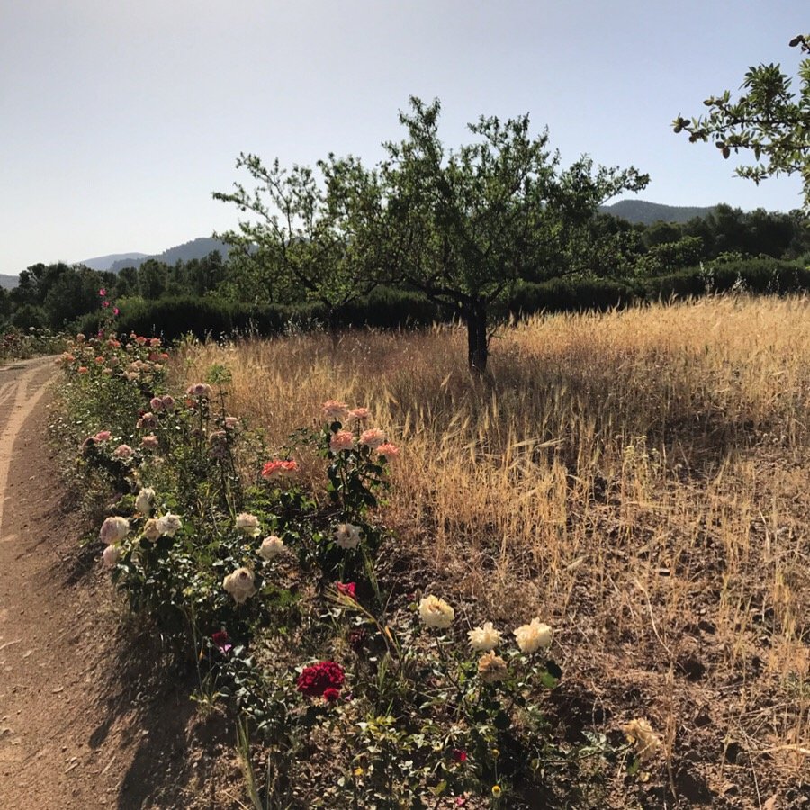 Terres d'Amanar-浴室
