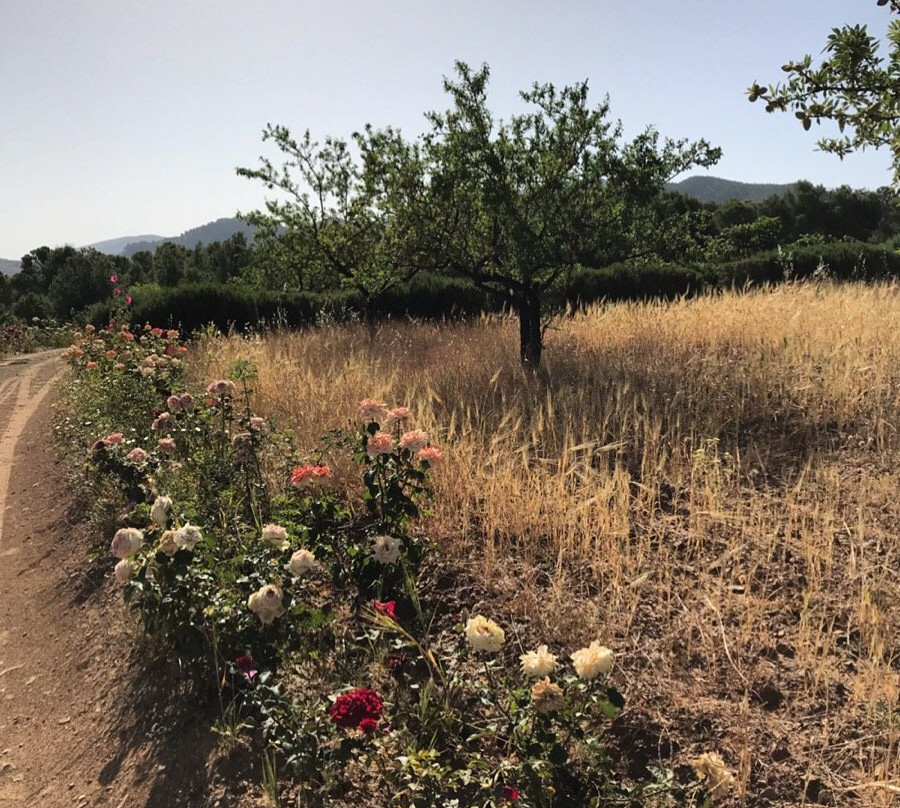 Terres d'Amanar主图