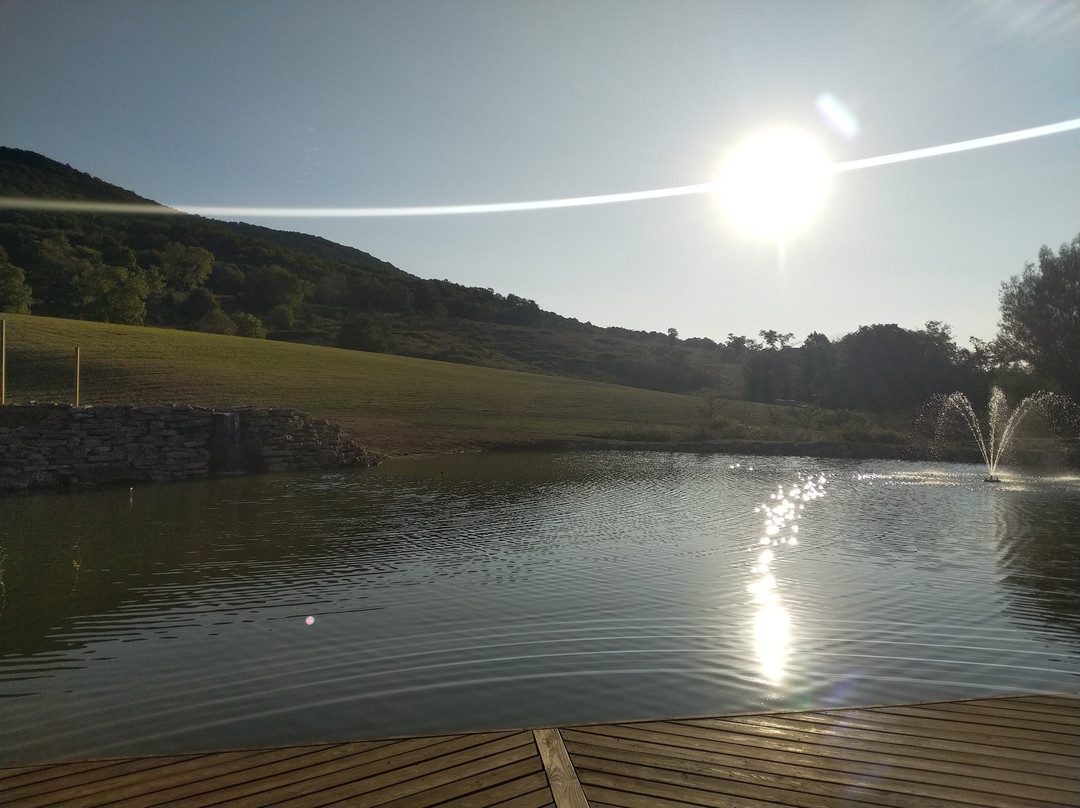 Eupepsia Wellness Resort主图