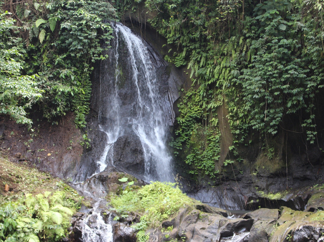 Pengibul Waterfall景点图片