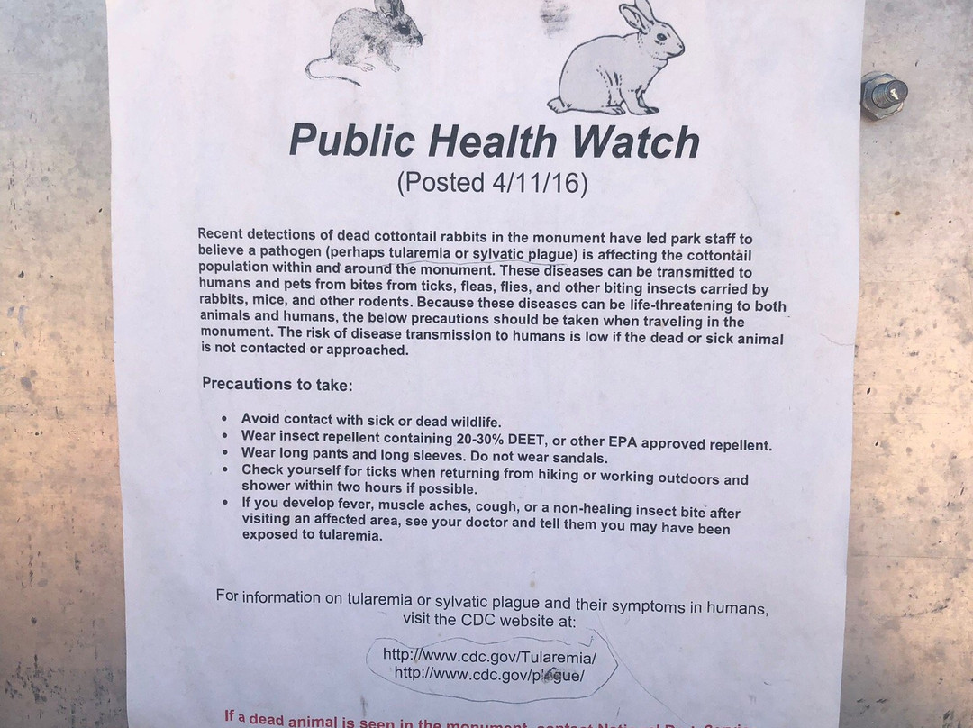 Yucca House National Monument-Towaoc必去景点