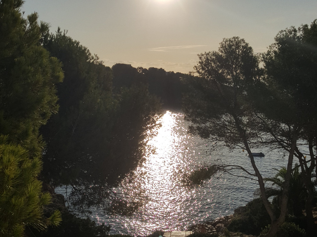 Inturotel Cala Azul主图