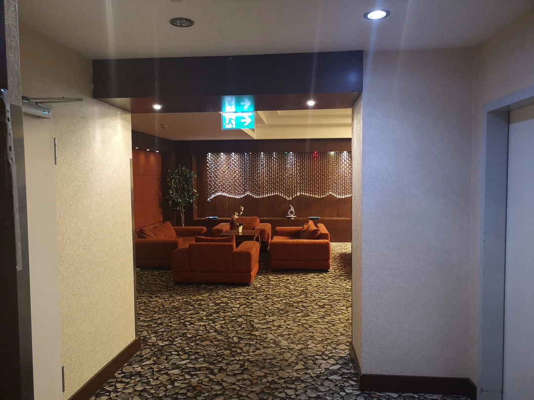 Airport Global Hotel主图