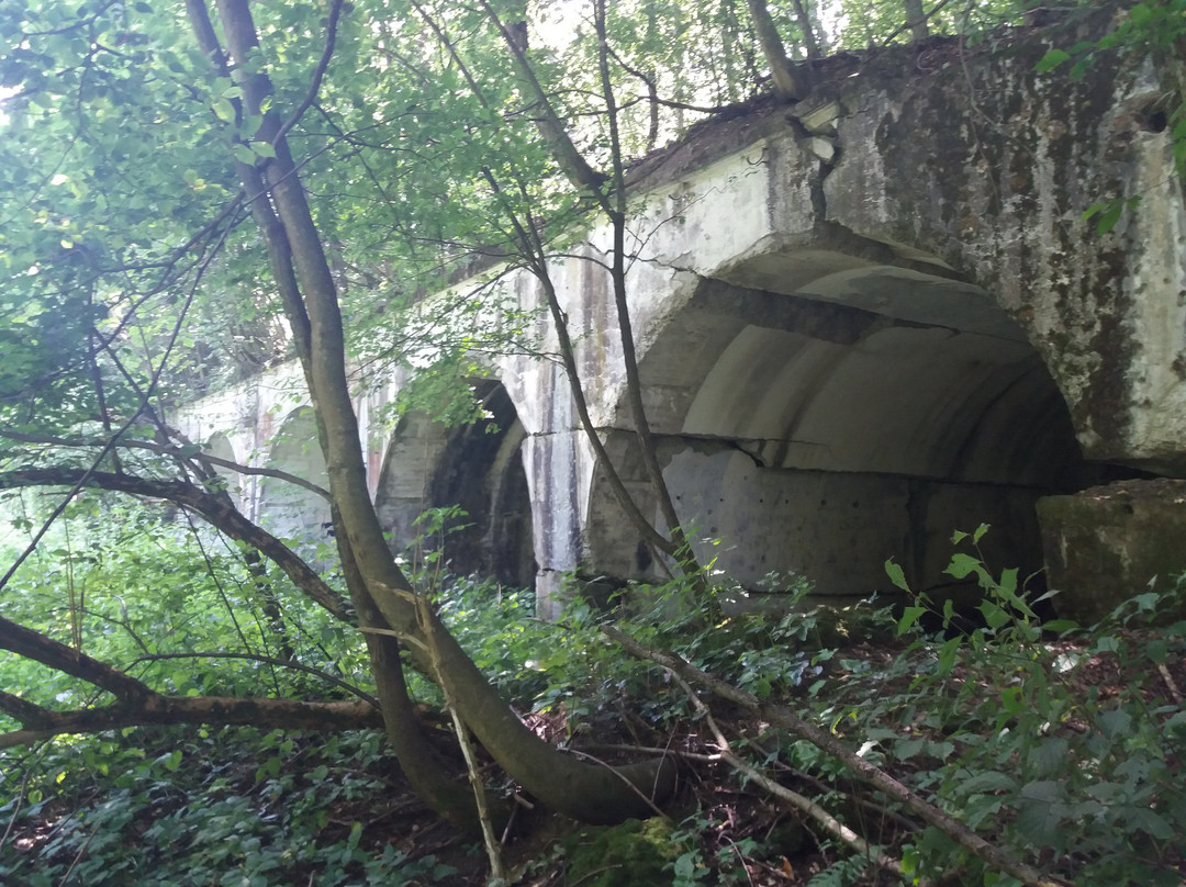 Fort GW VII Prałkowce景点图片