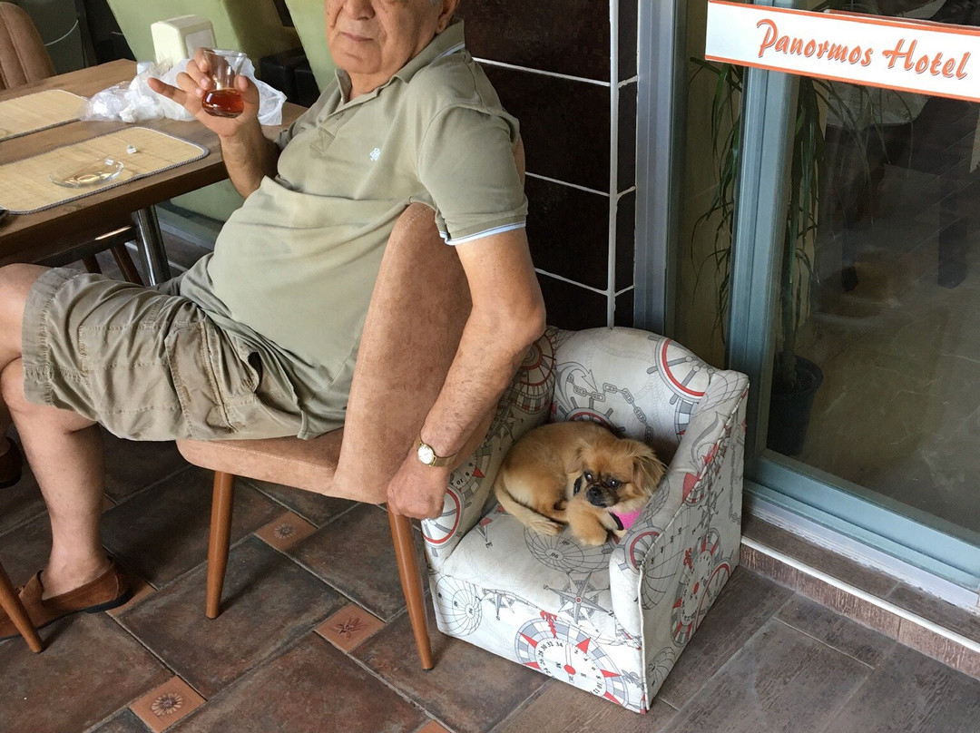Panormos Hotel主图