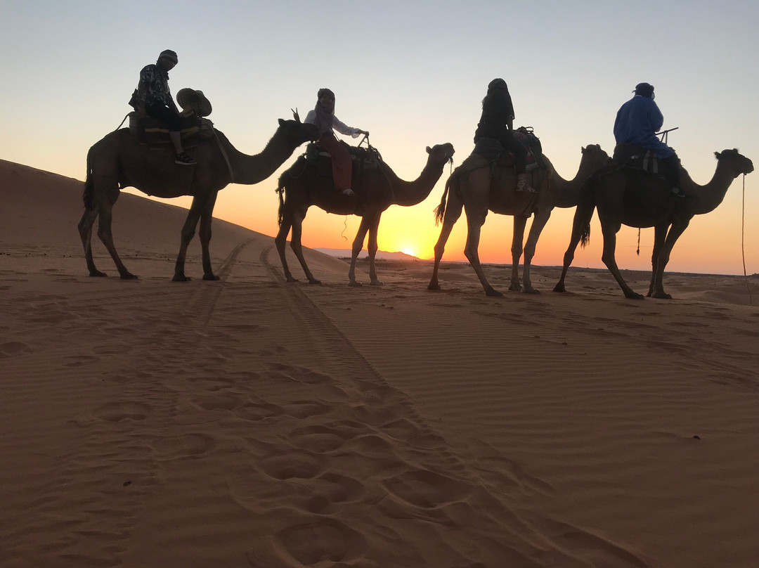Sahara Atlas Tours景点图片
