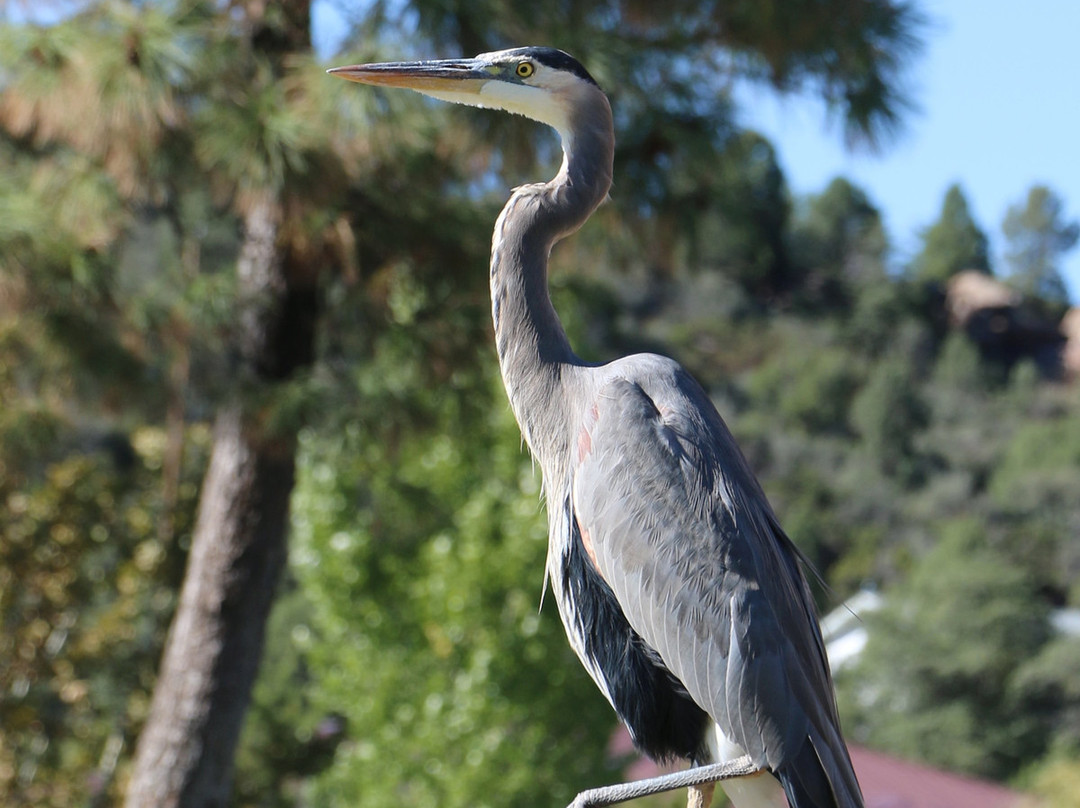 Green Valley Park-Payson必去景点