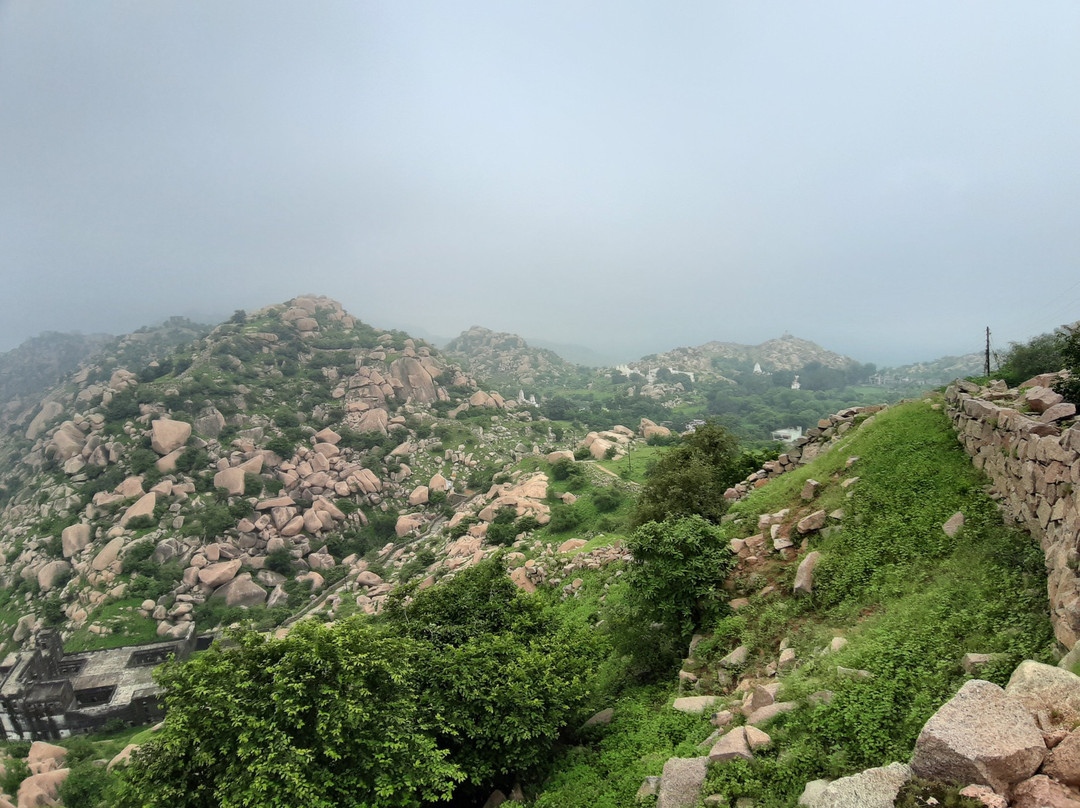 Daulat Mahal景点图片