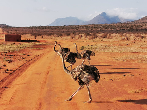 Adventure Mara Tours-蒙巴萨必去景点