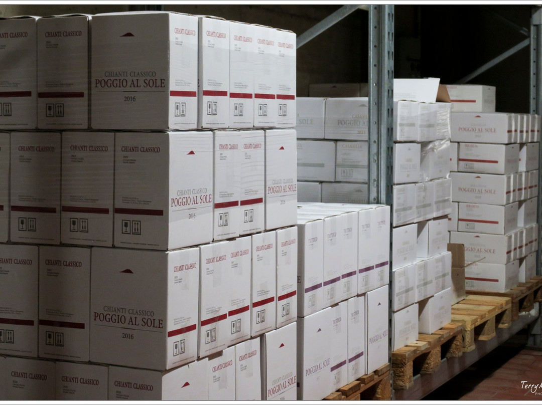 Poggio al Sole Winery景点图片