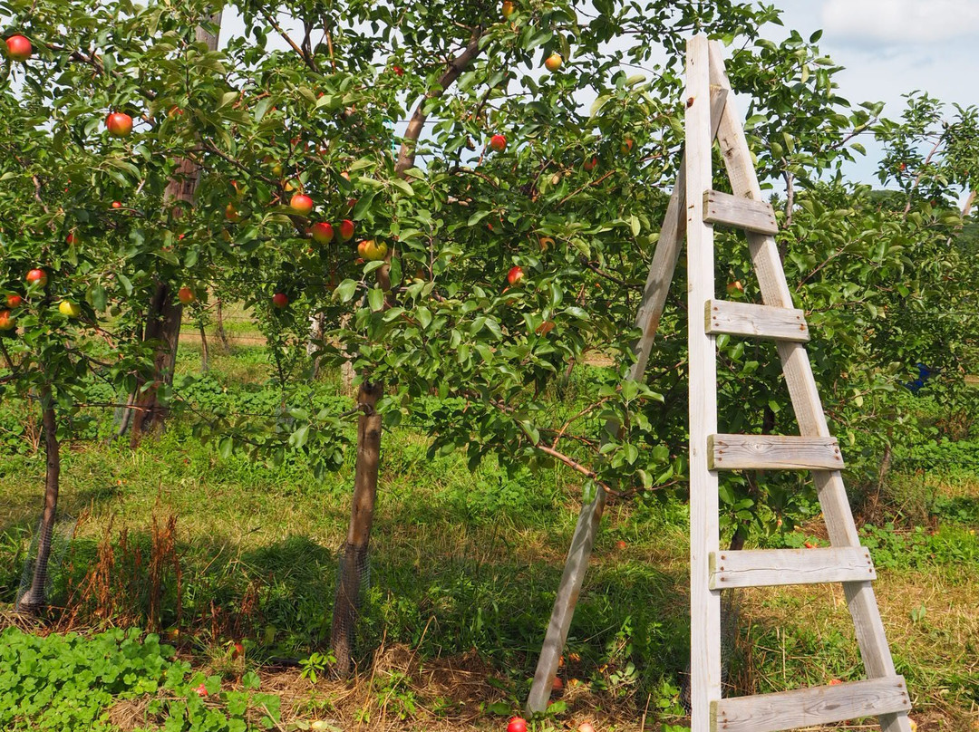 Vergers Petit et Fils-Mont-Saint-Hilaire必去景点