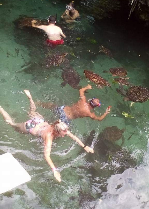 Nungwi Mnarani Aquarium-孥归必去景点