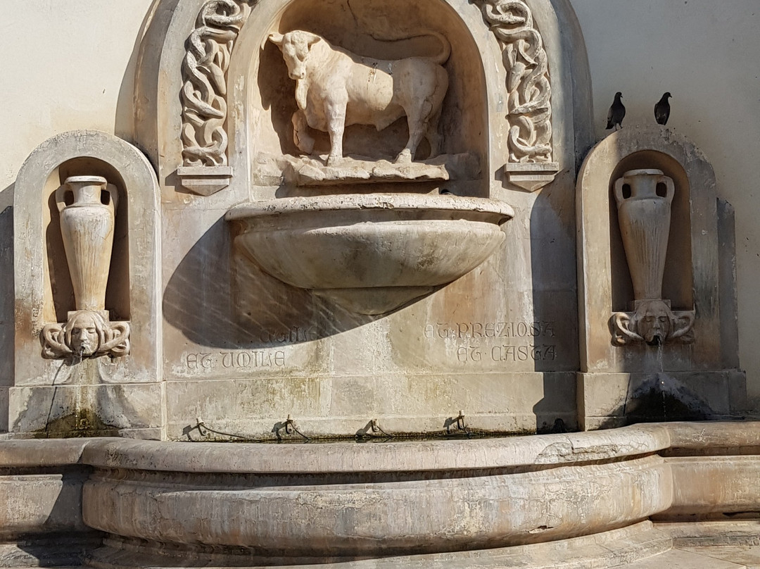 Fontana Del Toro-纳尔德奥必去景点