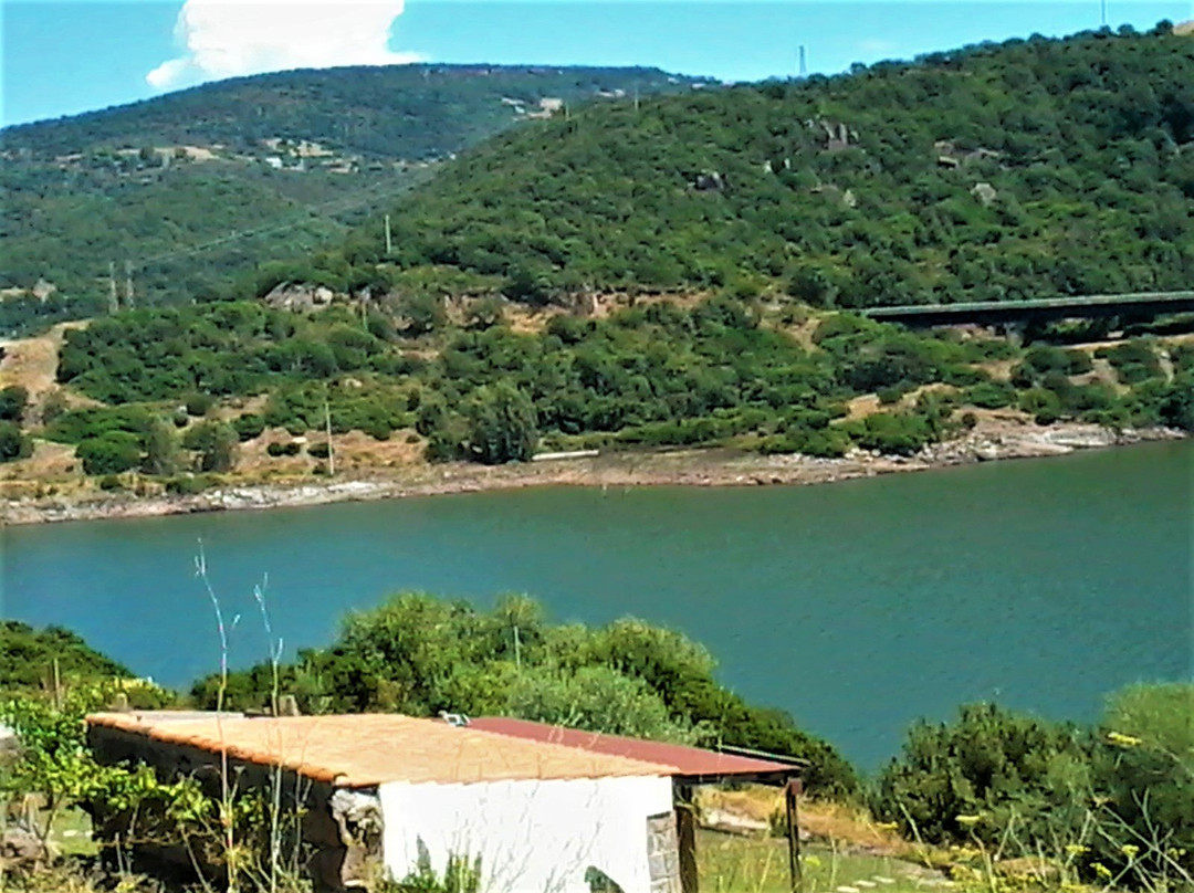 Lago Omodeo景点图片