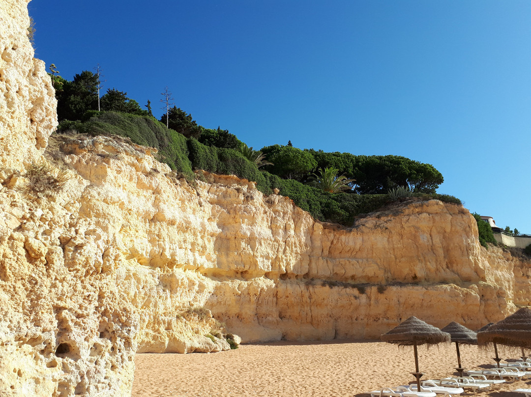 Praia da Cova Redonda景点图片