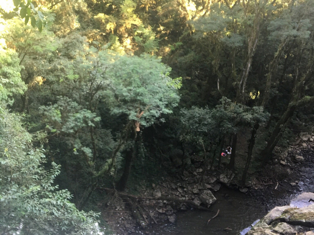 Cascata do Porongo景点图片
