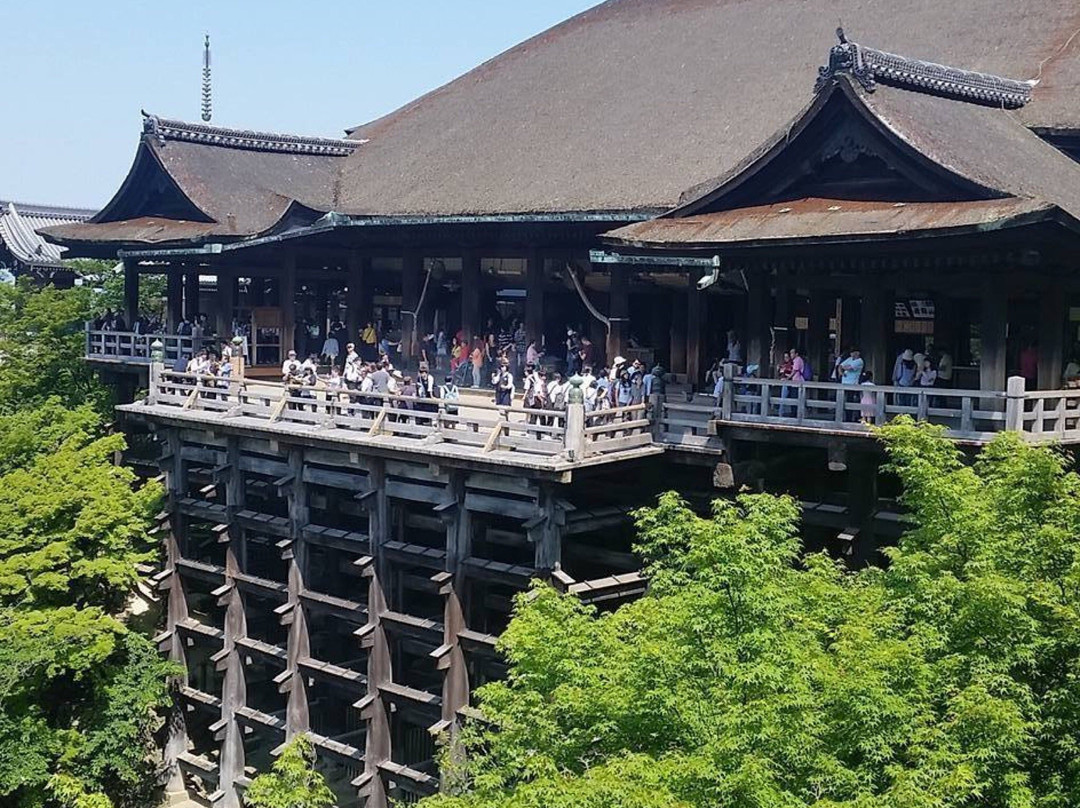 Cowabunga Bay Water Park-亨德森必去景点